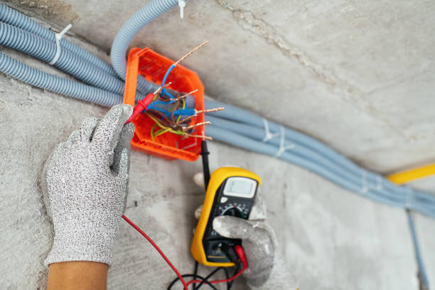 Best Electric Panel Repair  in Gothenburg, NE